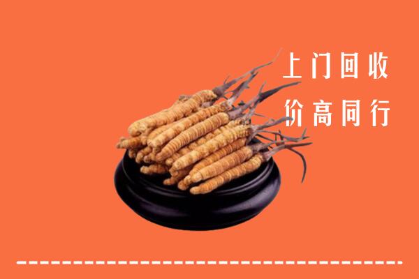 铁山区回收散虫草