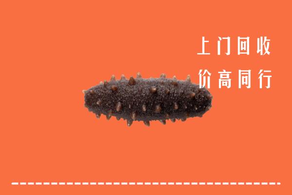 铁山区回收海参