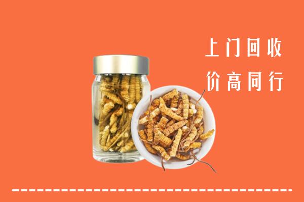 铁山区回收冬虫夏草