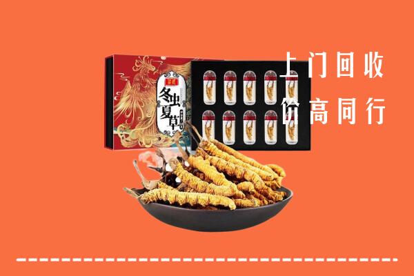 铁山区回收虫草